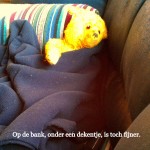 Op de bank, onder een dekentje, is toch fijner.